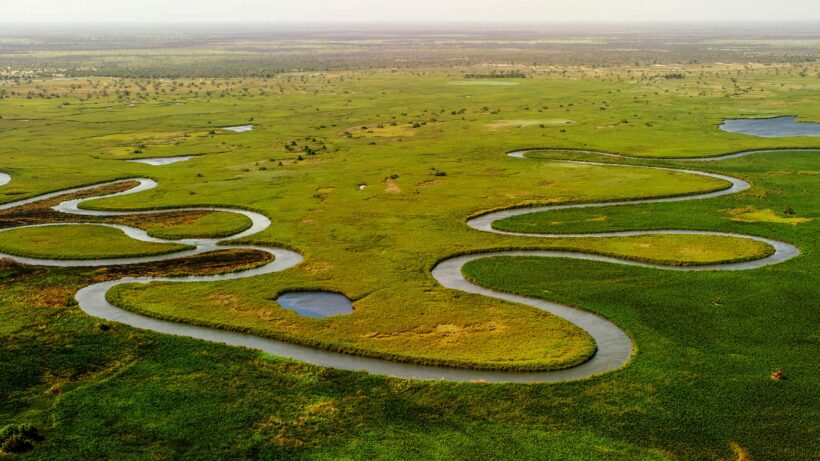Aerial view of Okavango