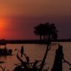 Sunset on Chobe River