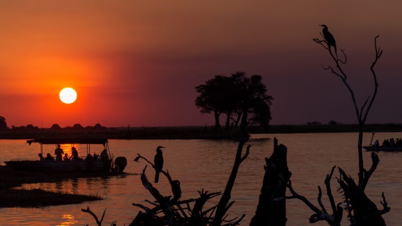 Sunset on Chobe River