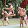 Traditional Maori Dance