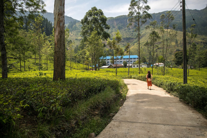 Nuwara Eliya